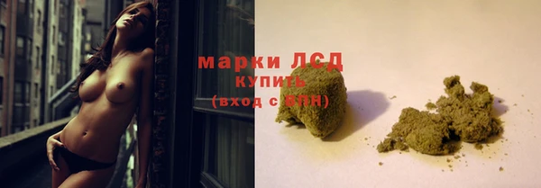 прущие грибы Алексеевка