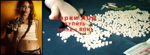 прущие грибы Алексеевка