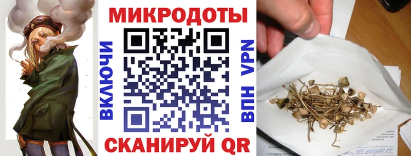 как найти ссылка на мегу как зайти Галлюциногенные грибы Psilocybine cubensis Амурск